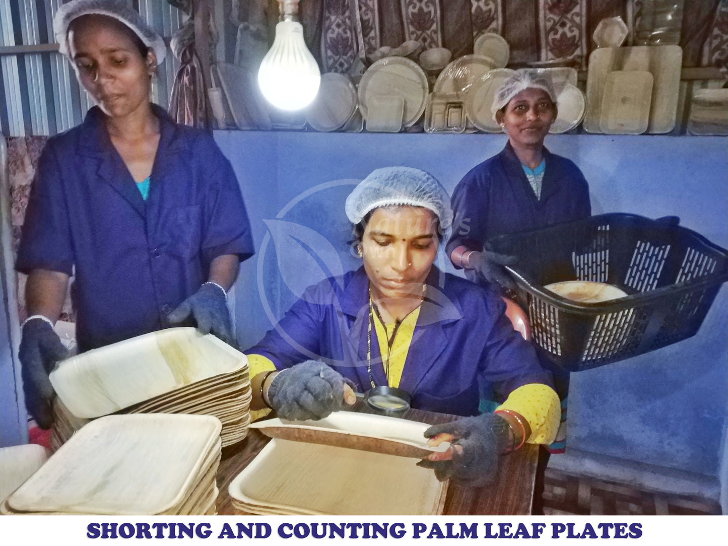 Nature's Own Palm Leaf Disposable Plates Pack of 50 Stronger Than Plastic and Paper Plates (10 x 6 inch square)