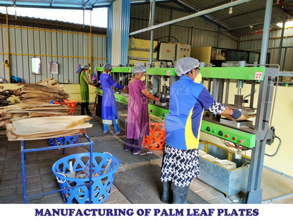 Nature's Own Palm Leaf Disposable Plates Pack of 50 Stronger Than Plastic and Paper Plates (10 x 6 inch square)